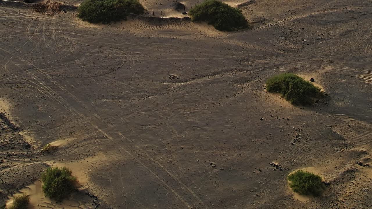 Close-up of Volcanic Dunes and Desert Plants