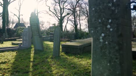 cemetery scene on a sunny day