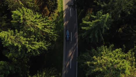 symmetrical-drone-shot-of-a-driving-sports-car-on-a-shady-road-in-a-green-forest-in-summer