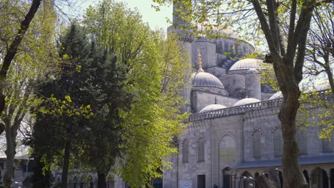 people walking near sultan ahmed mosque, in istanbul, turkey