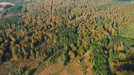 Rich-Biodiversity-Of-Fagne-du-Rouge-Poncé-Nature-Reserve-in-Saint-Hubert,-Belgium---aerial-shot