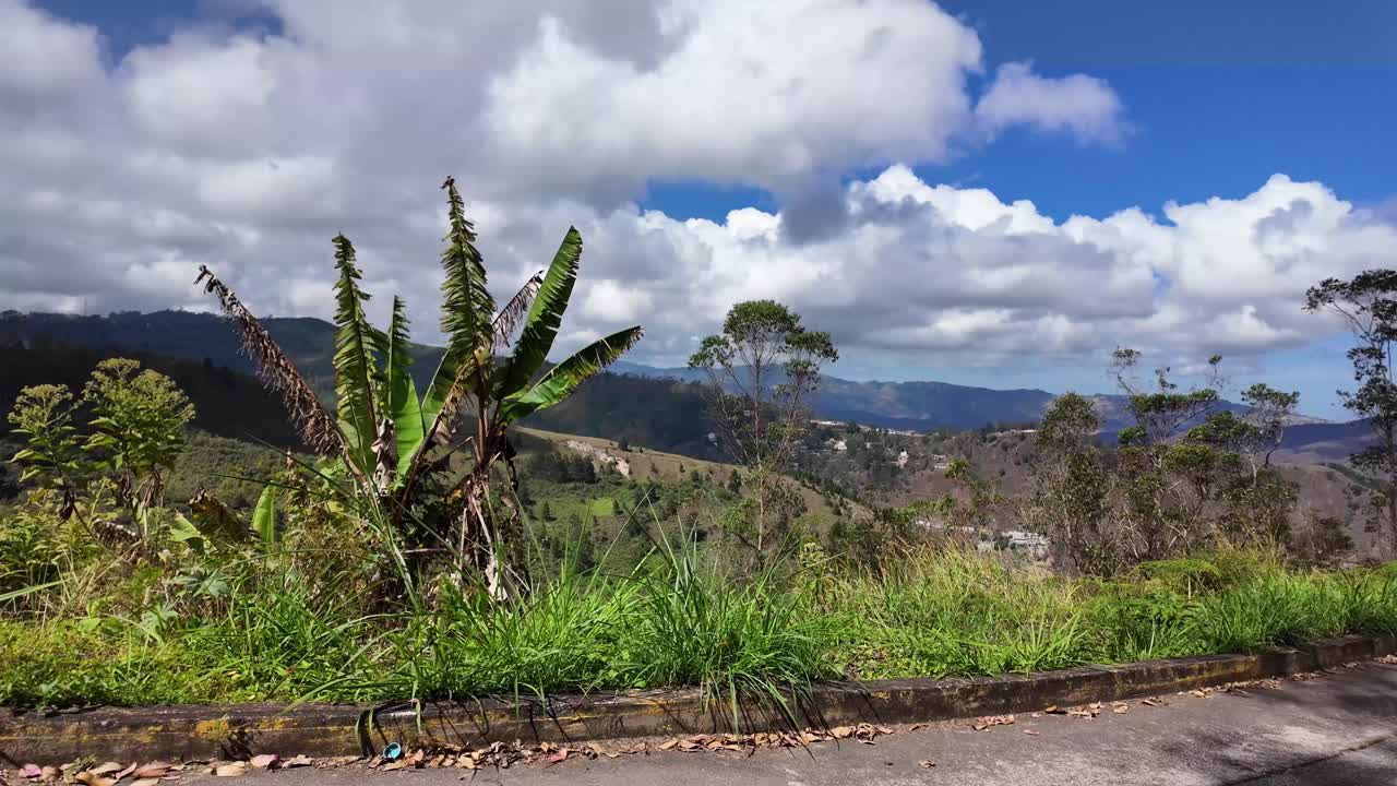 Visione cinematografica in prima persona di una motocicletta in viaggio su una strada di montagna, con ampi panorami della catena costiera venezuelana e flora tropicale.