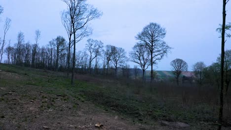 Flying-upwards-from-clearance-in-forest,-leafless-tree-tops-in-rural-landscape