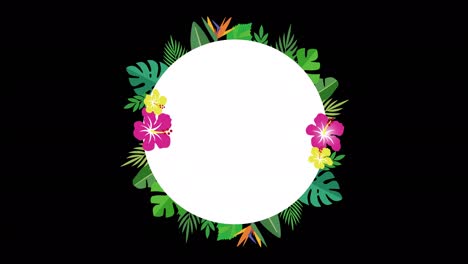 tropical leaves, botanical decoration. flower circle rotating in the center (alpha channel)