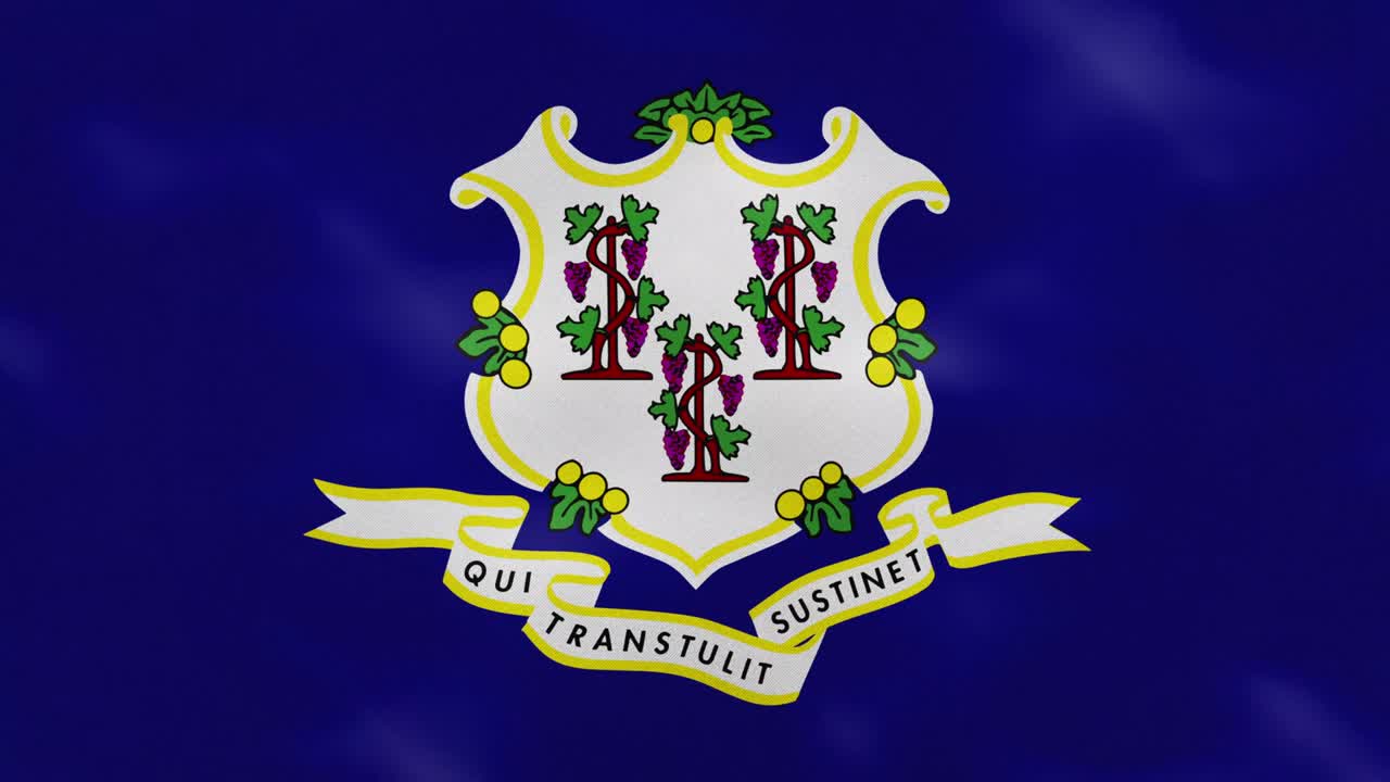 connecticut denso tejido de la bandera ondulaciones, bucle de fondo