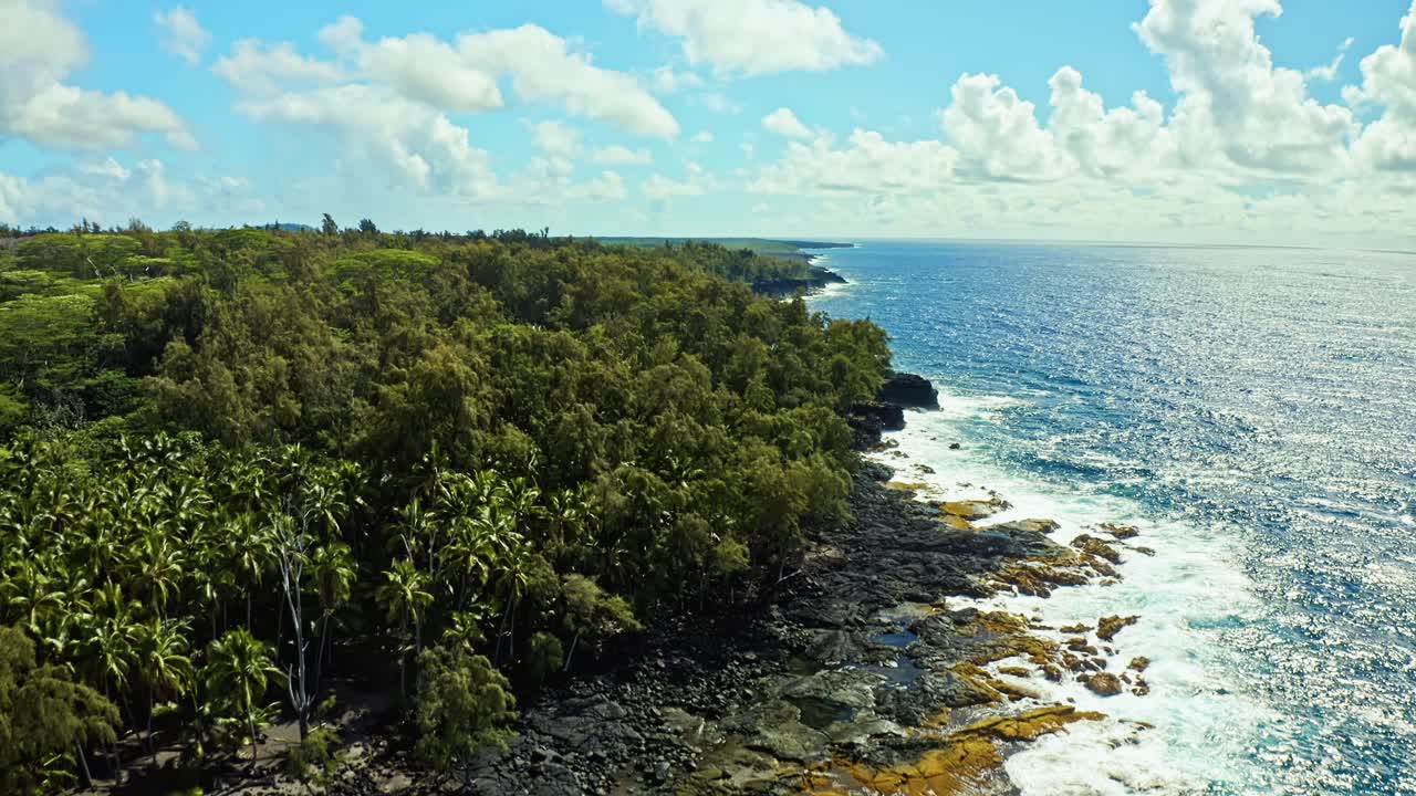 Sunlight glistens on turquoise Pacific waters as waves crash over volcanic rock along Hawaii’s lush shoreline, where the jungle meets the ocean in dazzling tropical contrast