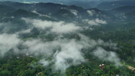vista aérea distante de una densa vegetación de selva tropical montañas y nubes de niebla vistas aéreas de munnar kerala india