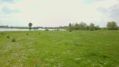 Aerial-drone-view-of-flying-low-to-high-and-revealing-the-river-in-the-Netherlands-in-the-spring-season