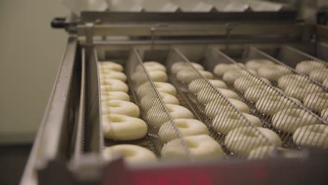 donut production line