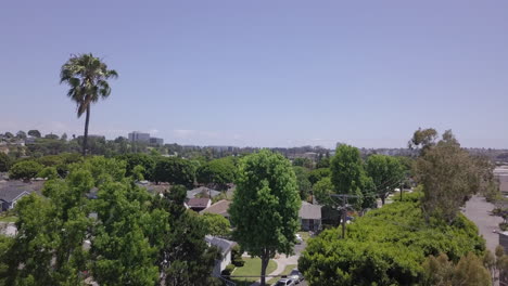 Drone-flyover-a-Los-Angeles-suburb-with-lush-trees-and-a-blue-sky