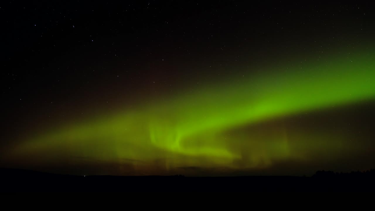 la aurora boreal de color verde intenso se extiende por el cielo nocturno de la pradera.
