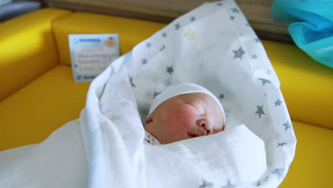 peacefully sleeping caucasian baby in a cute cap. adorable newborn child in a blanket close up.
