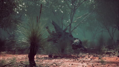 Australisches-Outback-Mit-Bäumen-Und-Gelbem-Sand