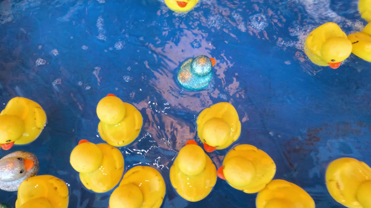 물 속 에 떠다니는 다채로운 고무 오리 들