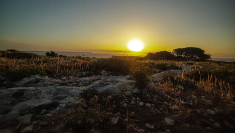 Close-up-shot-of-dry-grass-along-rocky-terrain-with-sun-rising-over-the-horizon-through-clouds-in-timelapse