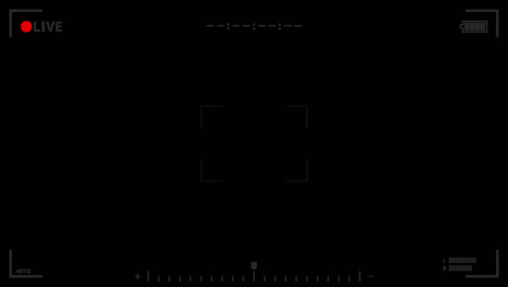 Camera frame LIVE animated overlay.  1080p - 30 fps - Alpha Channel (9)