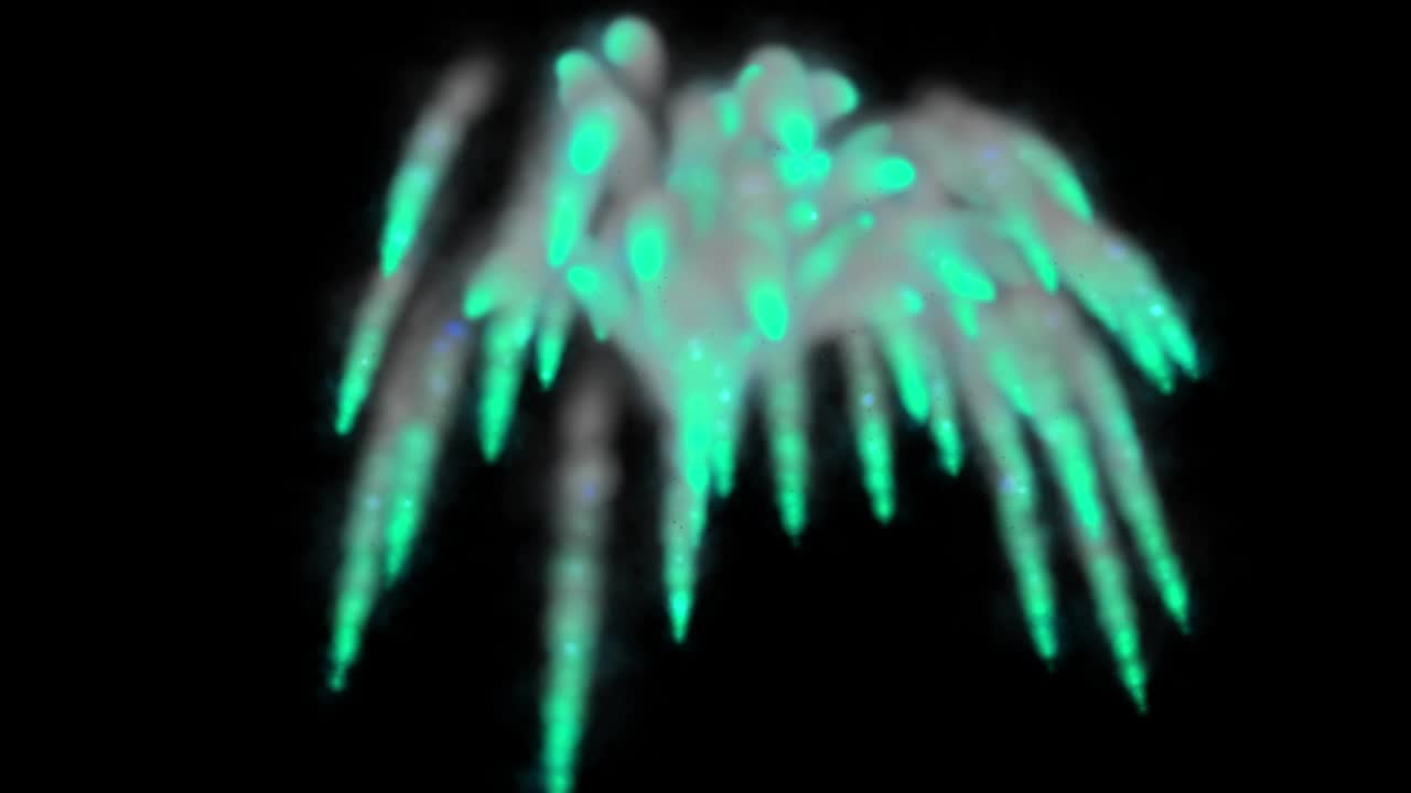 las partículas de color que soplan el humo animación gráficos de movimiento