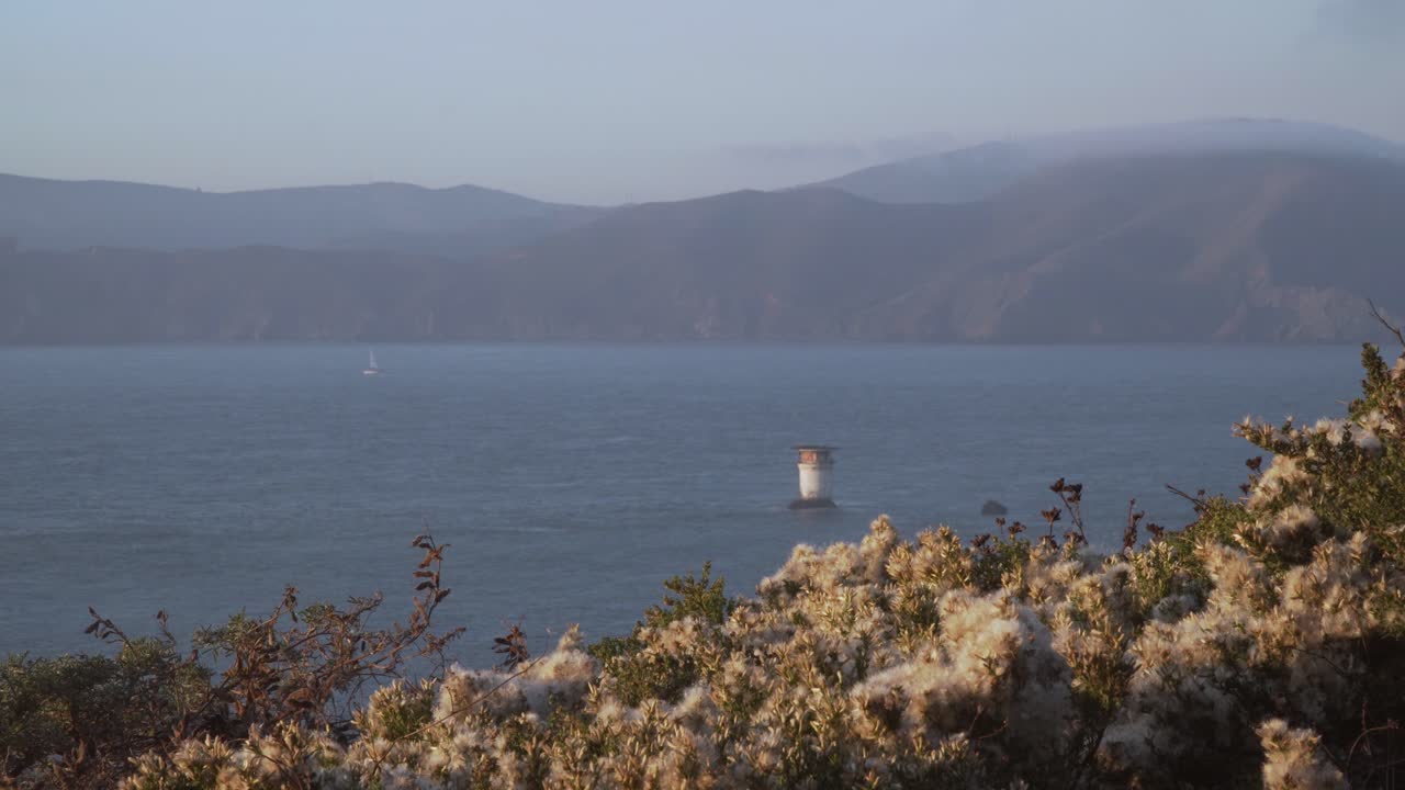 faro de roca de milla y flores que fluyen en un cielo despejado de verano en san francisco, california