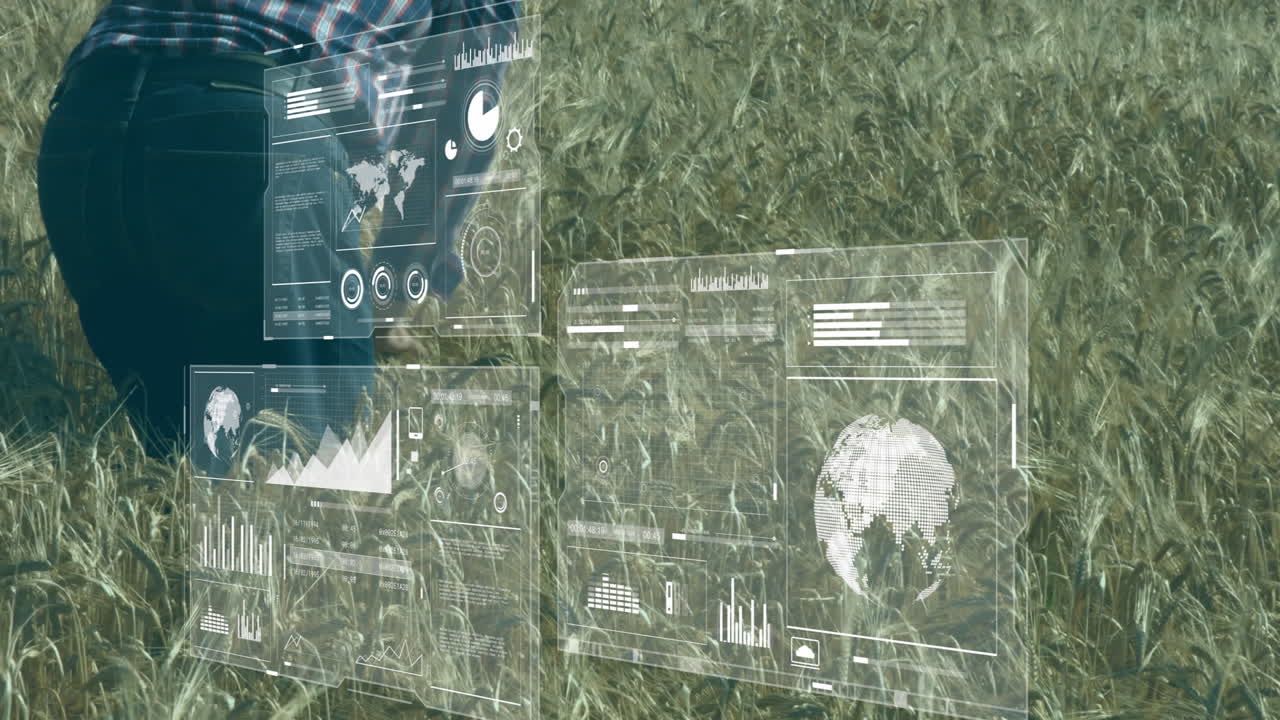 análisis de datos agrícolas, animación de interfaz futurista sobre el agricultor en el campo de trigo