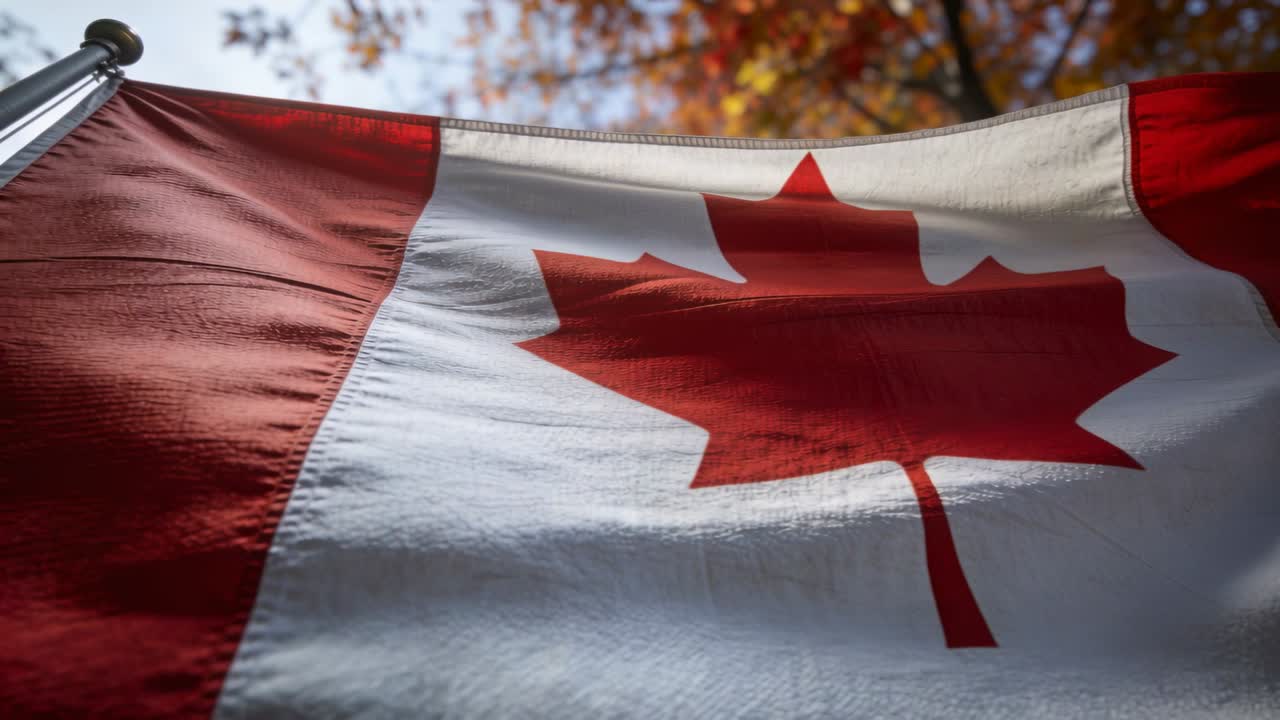 Drapeau canadien flottant au gré de la brise sur un mât métallique dans un parc, révélant les œillets en forme de feuille d'érable