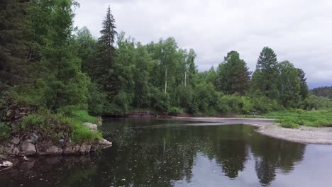 river flowing through a lush green forest