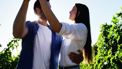 romantic couple dancing at a vineyard