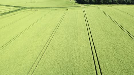 Establecimiento-De-Una-Vista-Aérea-Del-Amplio-Círculo-De-Cultivos-De-Hilton-Para-Revelar-Un-Complejo-Patrón-En-Espiral-En-Tierras-Agrícolas-De-Wiltshire