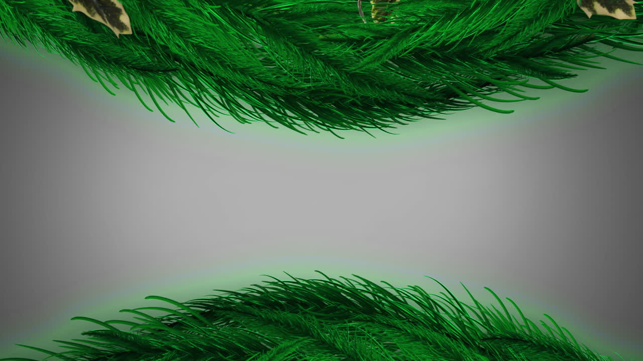 Animation of fir trees branches over white background
