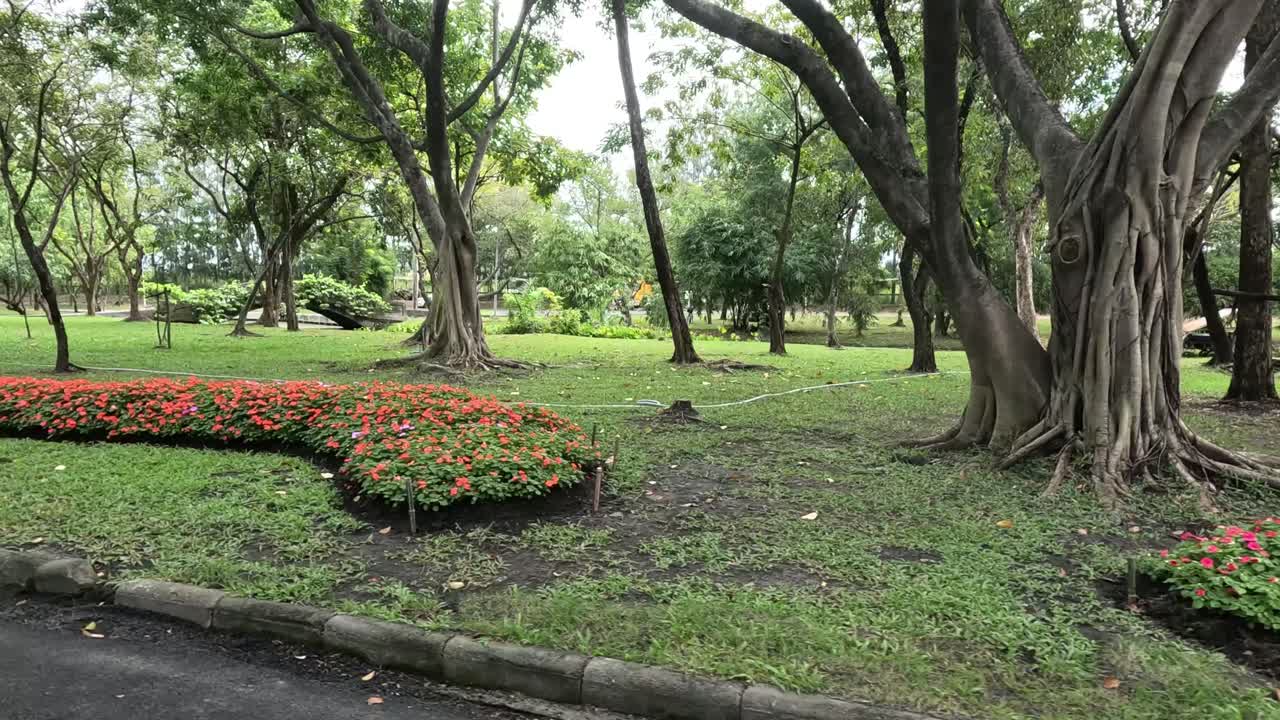 time-lapse de un parque pacífico con flores cambiantes.