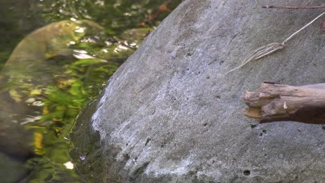 Ein-Wasserfall-Und-Ein-Strompool,-Der-In-Santa-Ynez-Bergen-Kalifornien-Fließt