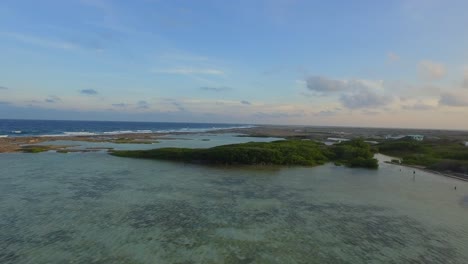 The-lagoon-and-mangroves-of-Lac-Bay-in-Bonaire,-Netherlands-Antilles