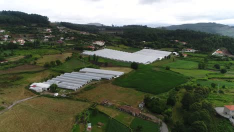 flying over greenhouses for growing vegetables