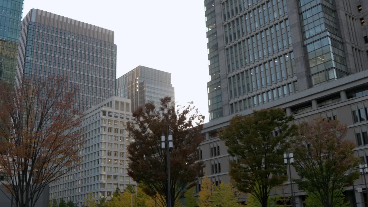 도쿄에서 가장 좋은 전망