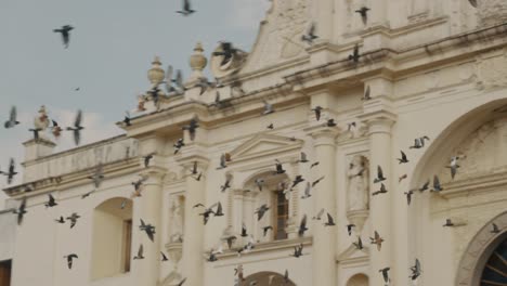 Revoloteando-Bandada-De-Palomas-En-La-Parroquia-De-San-José-En-Antigua-Guatemala,-Guatemala