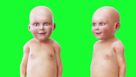 funny speaking baby, children. green screen realistic animation.