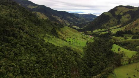 wide aerial panorama of the cocora valley in the colombian andes