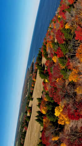 aerial view of vibrant autumn landscape by water