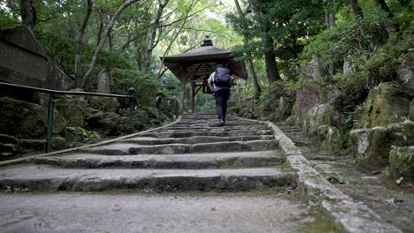 Solo-Male-Traveller-Walking-Up-Steps-In-Japanese-Zen-Garden-In-Mitaki