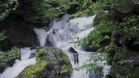 mountain river in the forest
