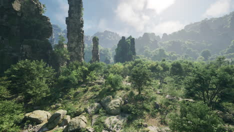 lush green forest with tall cliffs