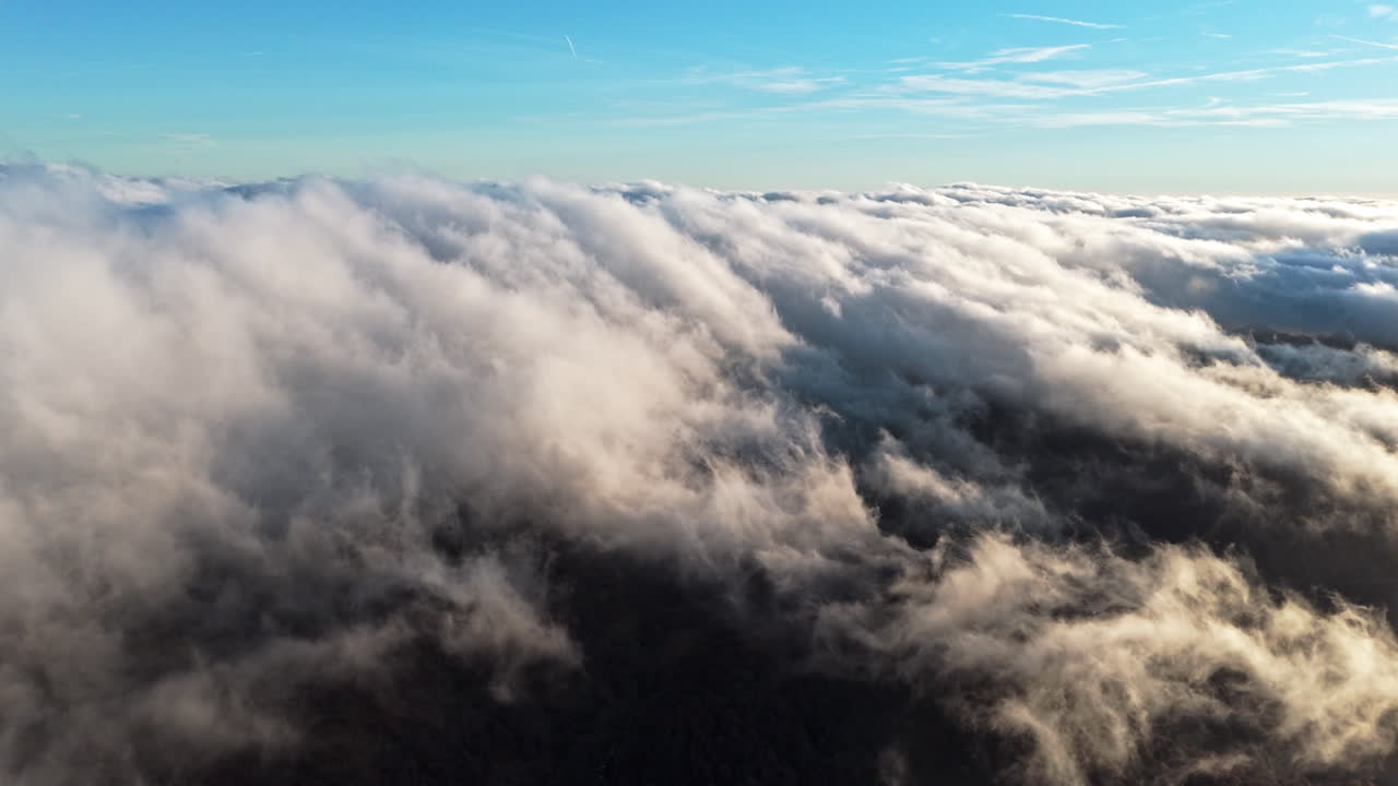 Vista aerea spettacolare di nuvole sopra una foresta all'alba, che infonde tranquillità