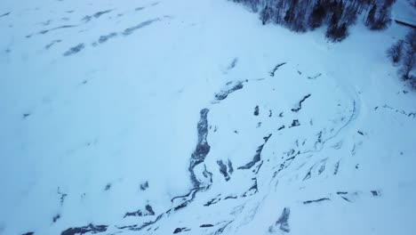 beautiful drone view with leafless trees in the snow on a frozen winter day