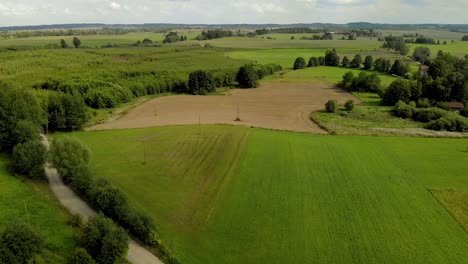 Aerial-footage-over-village-space,-beautiful-green-field,-fresh-grass-and-natural-landscape,-Eastern-Poland,-magical-sky-and-high-trees-on-horizontal