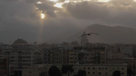 a view with seagulls