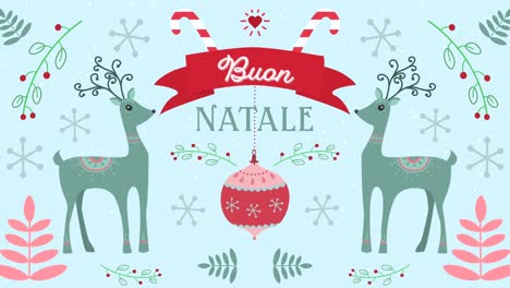 animation of buan natale words with moving deers on christmas decorations background