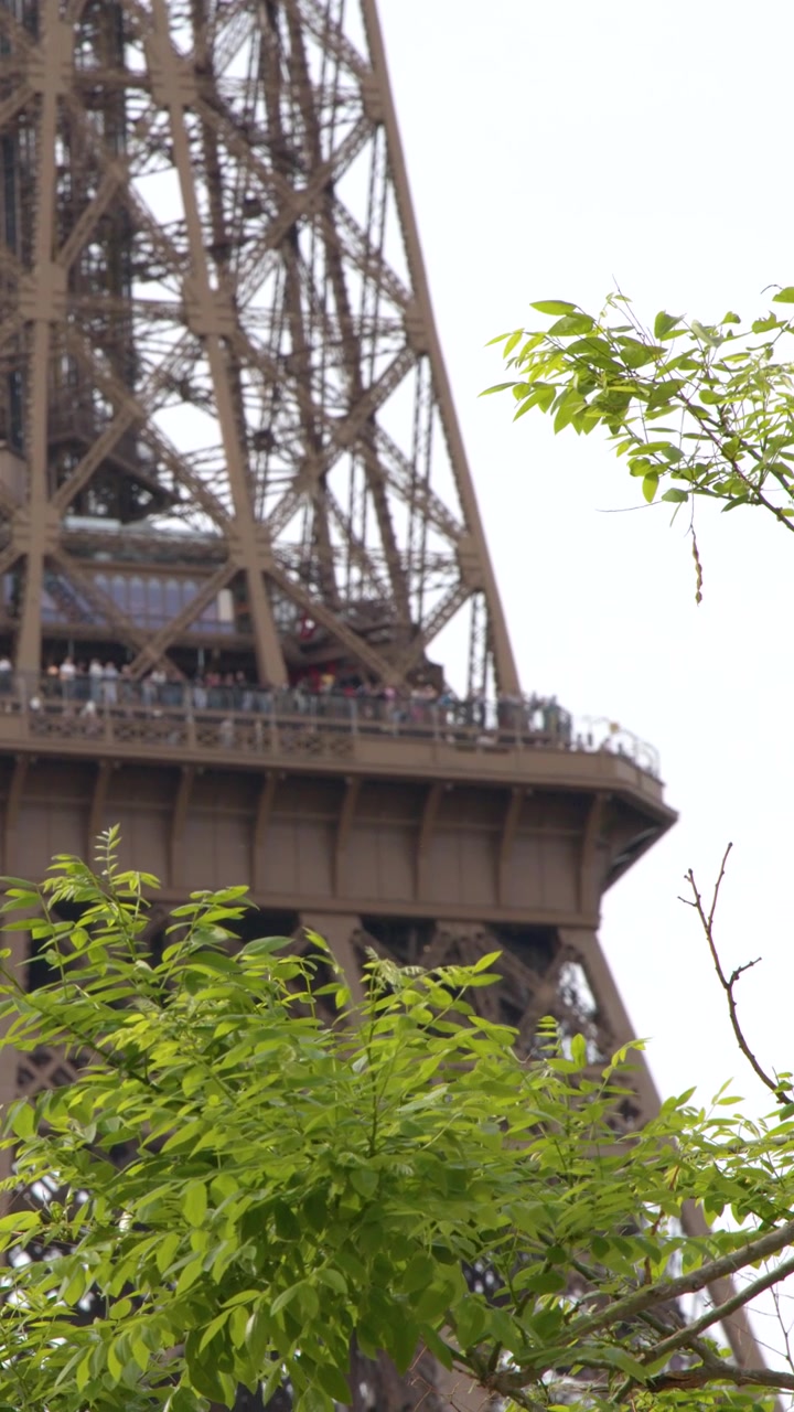 Un'inquadratura dal basso panoramica sulla struttura a traliccio della Torre Eiffel dietro foglie verdi vivaci.