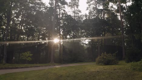 Wunderschöne-Goldene-Sonnenstrahlen-Im-Wald-Durch-Bäume,-Sonniger-Morgen-Kurz-Nach-Sonnenaufgang,-Luftaufnahme