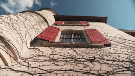 slow tilt-up shot of a house window with red covers with vines climbing