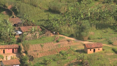 Aléjese-De-Los-Aldeanos-Y-Agricultores-Para-Revelar-Las-Empinadas-Y-Lujosas-Granjas-En-Terrazas-De-Ruanda