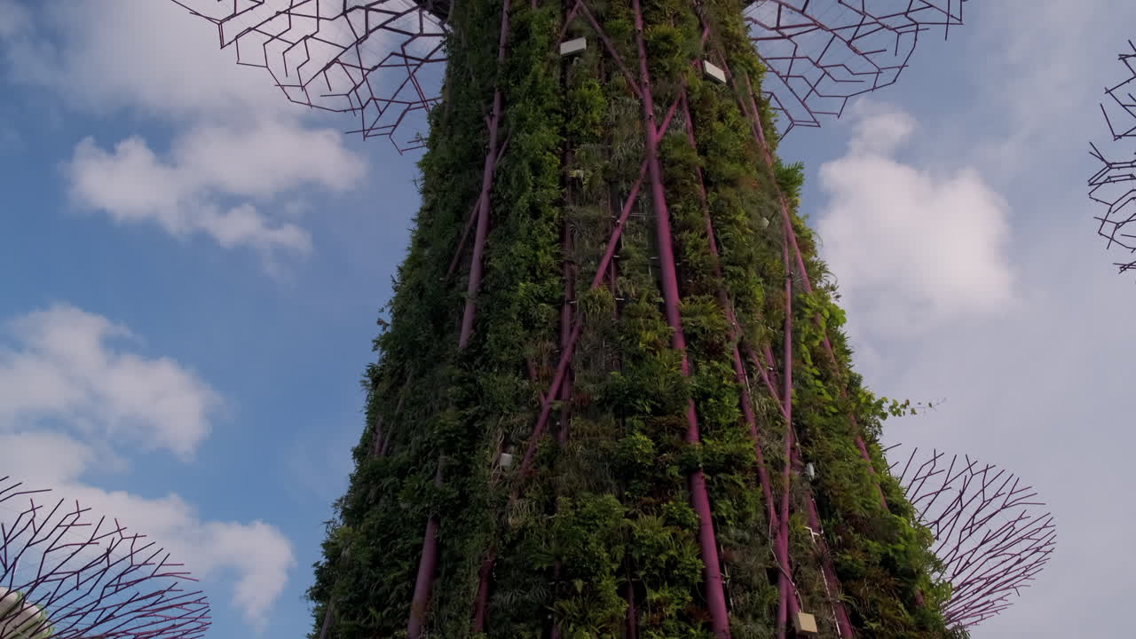 Supertree Grove in Gardens by the Bay
